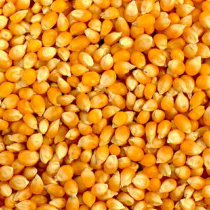 GRAINS